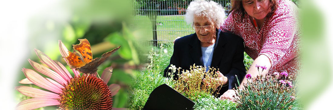 Gartentherapie, Senioren blühen auf